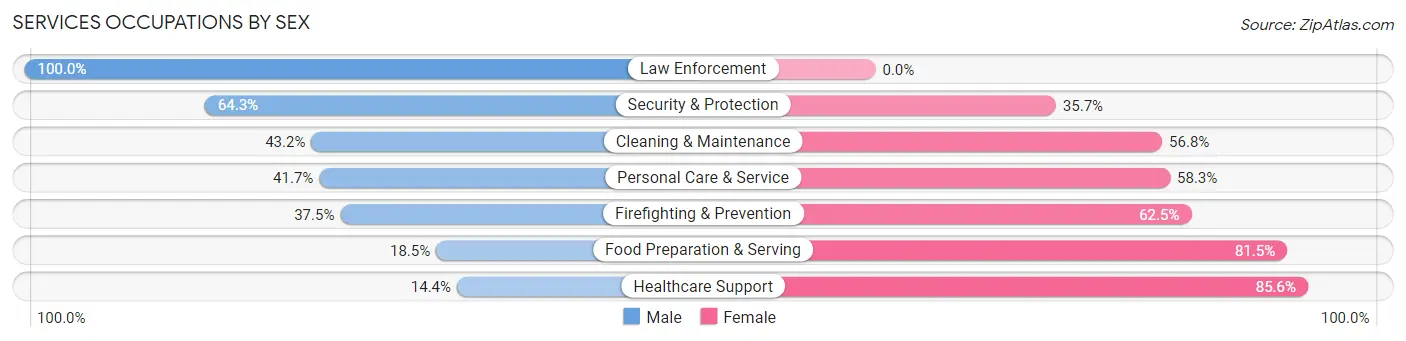Services Occupations by Sex in Zip Code 13131