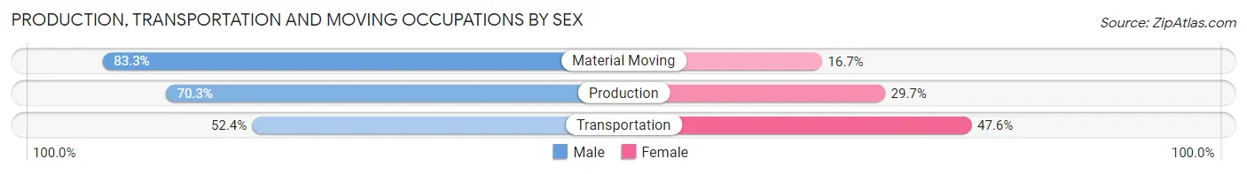 Production, Transportation and Moving Occupations by Sex in Zip Code 13135