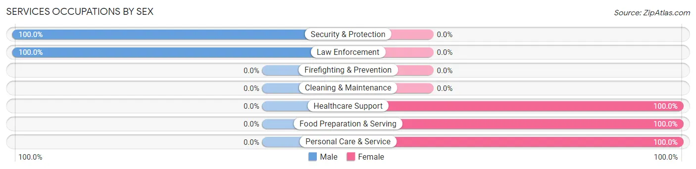 Services Occupations by Sex in Zip Code 13136