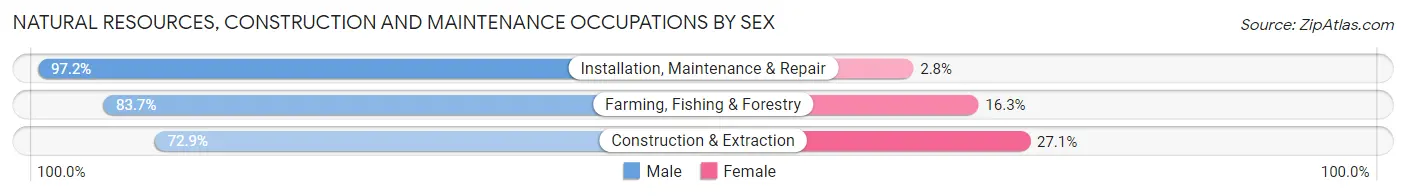 Natural Resources, Construction and Maintenance Occupations by Sex in Zip Code 13140