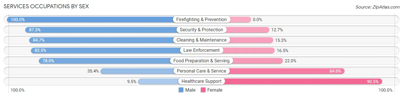 Services Occupations by Sex in Zip Code 13148