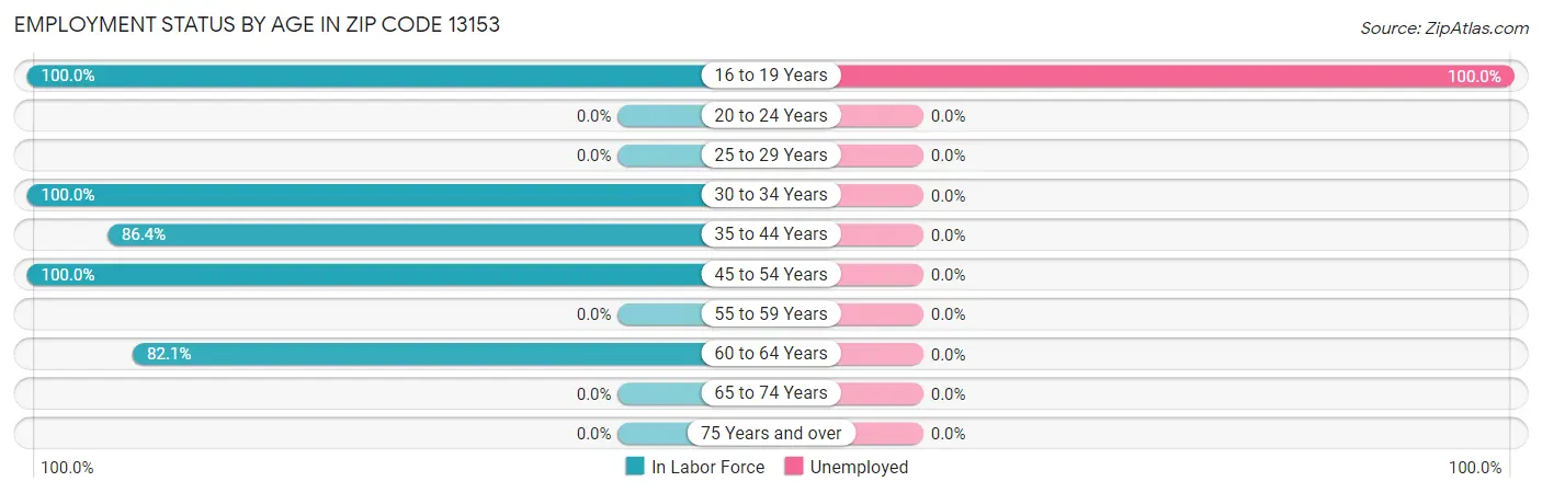 Employment Status by Age in Zip Code 13153