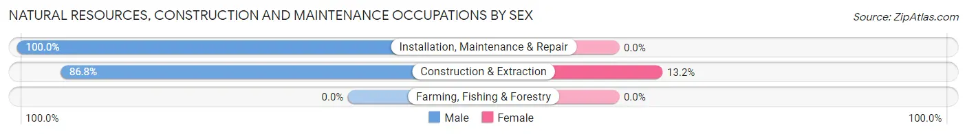 Natural Resources, Construction and Maintenance Occupations by Sex in Zip Code 13156