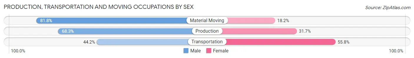 Production, Transportation and Moving Occupations by Sex in Zip Code 13156