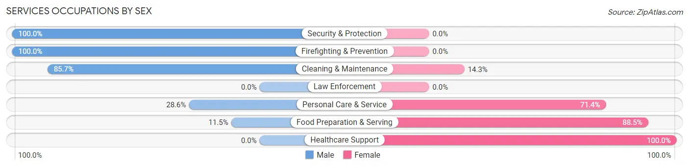 Services Occupations by Sex in Zip Code 13156