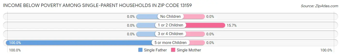 Income Below Poverty Among Single-Parent Households in Zip Code 13159