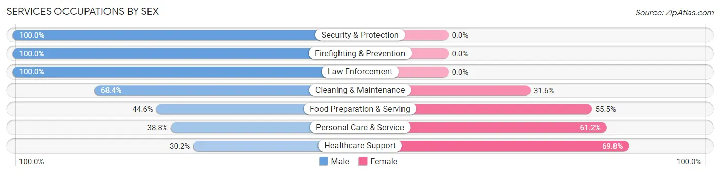 Services Occupations by Sex in Zip Code 13159