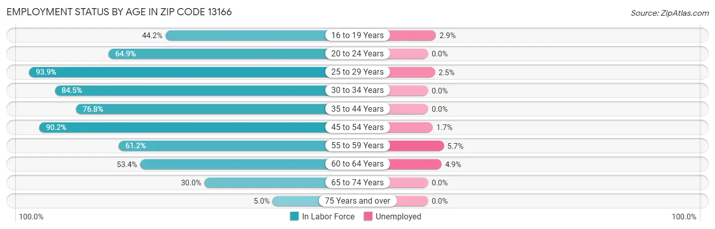 Employment Status by Age in Zip Code 13166