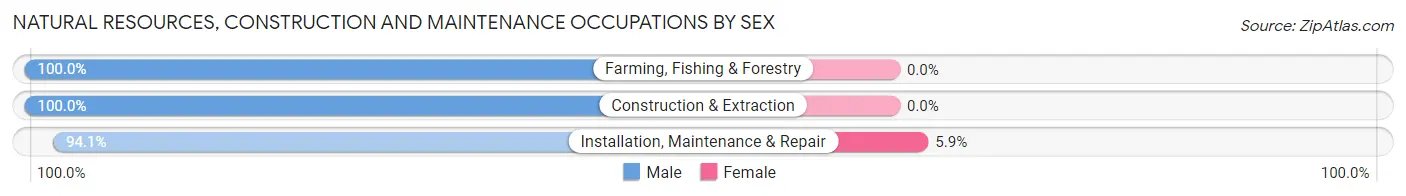 Natural Resources, Construction and Maintenance Occupations by Sex in Zip Code 13166