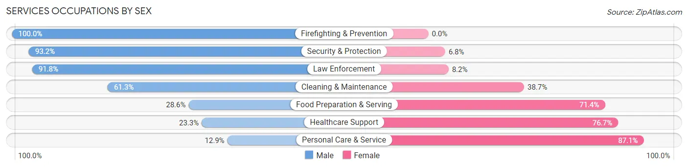 Services Occupations by Sex in Zip Code 13166