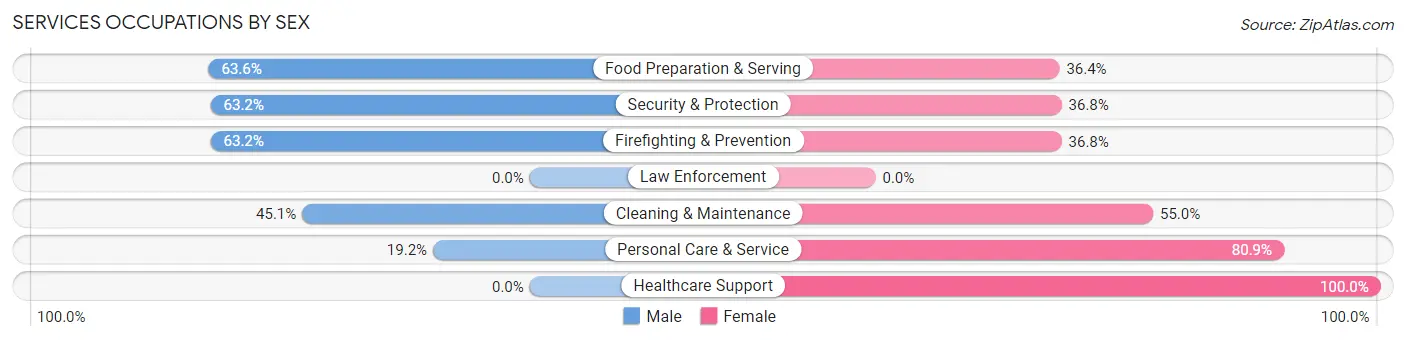 Services Occupations by Sex in Zip Code 13202