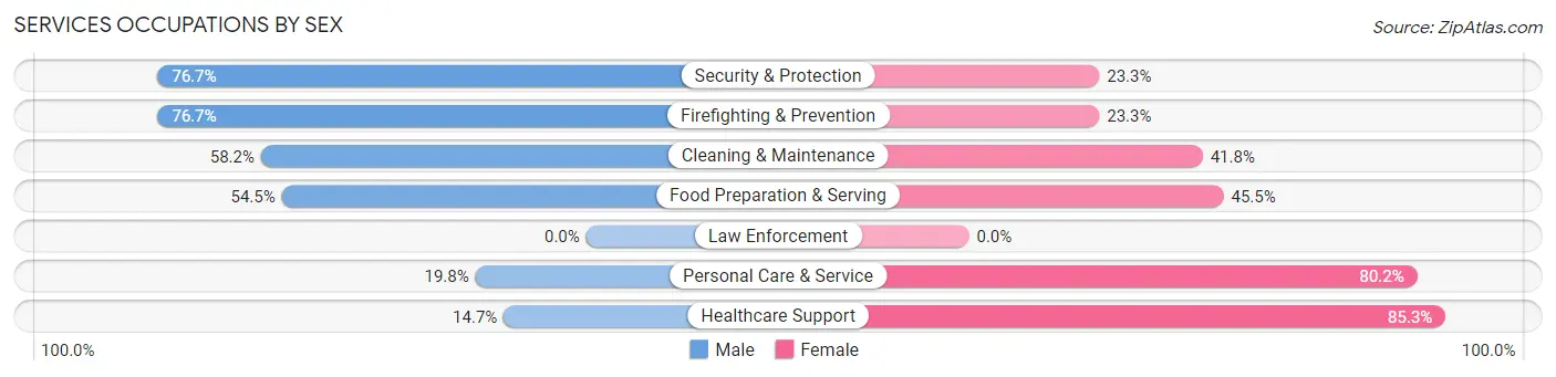 Services Occupations by Sex in Zip Code 13204
