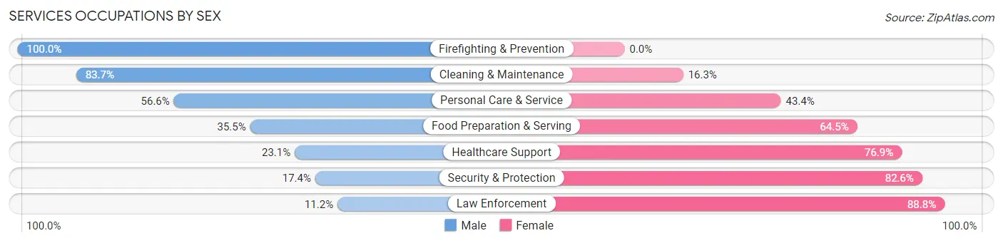 Services Occupations by Sex in Zip Code 13206