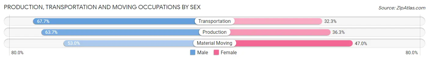Production, Transportation and Moving Occupations by Sex in Zip Code 13207
