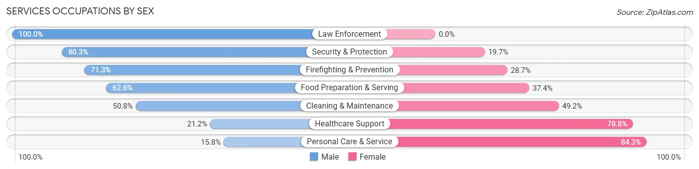 Services Occupations by Sex in Zip Code 13207