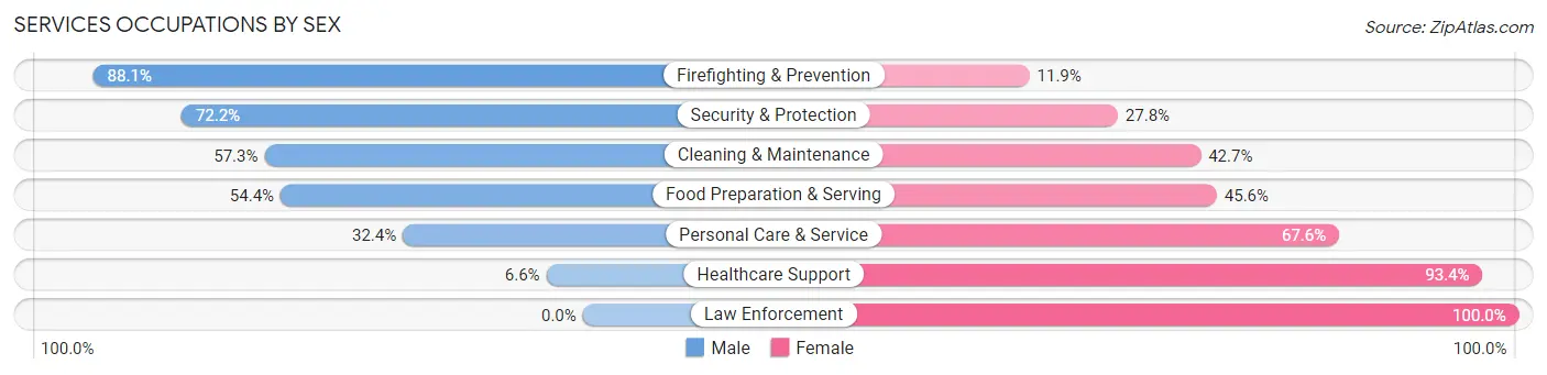 Services Occupations by Sex in Zip Code 13208