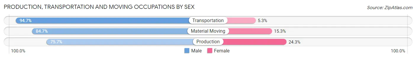 Production, Transportation and Moving Occupations by Sex in Zip Code 13209