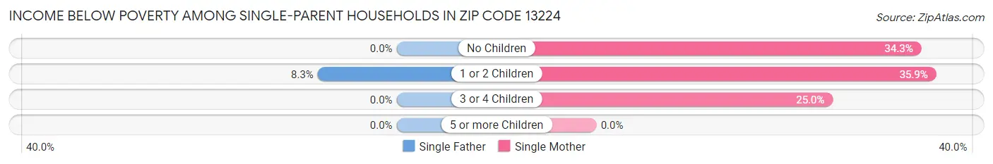 Income Below Poverty Among Single-Parent Households in Zip Code 13224