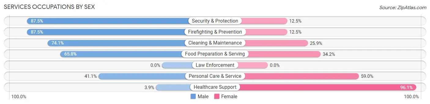 Services Occupations by Sex in Zip Code 13224