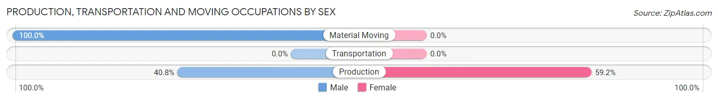Production, Transportation and Moving Occupations by Sex in Zip Code 13244