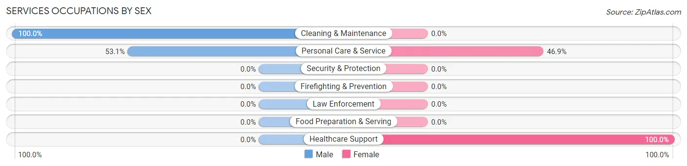 Services Occupations by Sex in Zip Code 13305