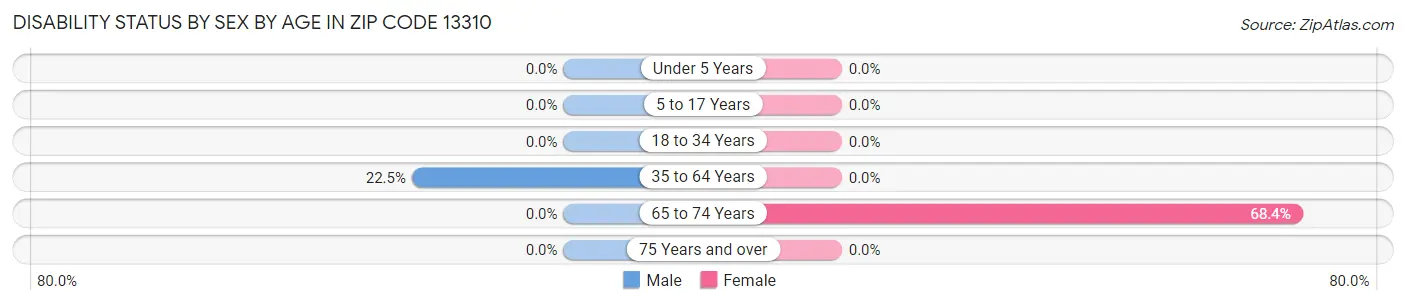 Disability Status by Sex by Age in Zip Code 13310