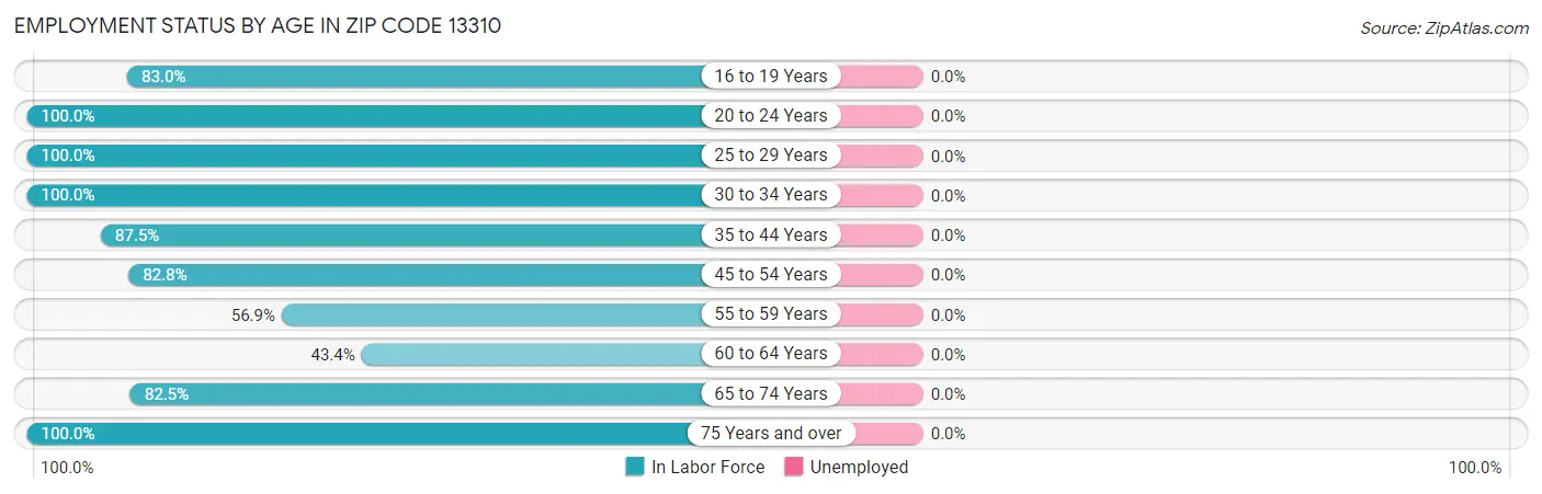 Employment Status by Age in Zip Code 13310