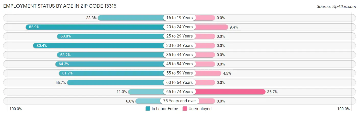 Employment Status by Age in Zip Code 13315