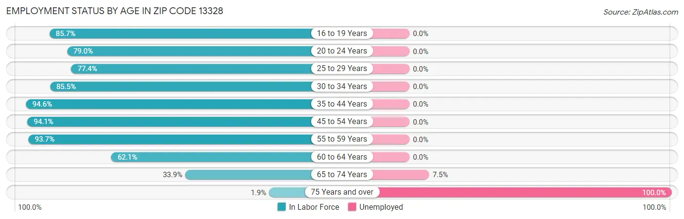Employment Status by Age in Zip Code 13328