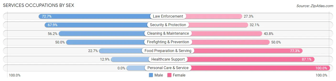 Services Occupations by Sex in Zip Code 13329