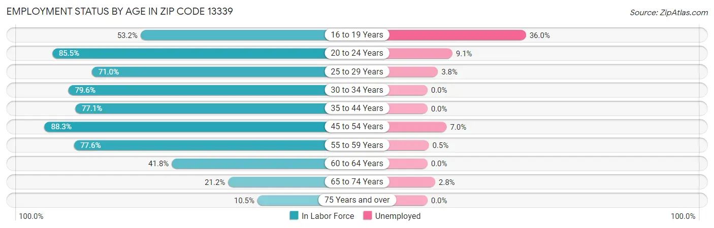 Employment Status by Age in Zip Code 13339