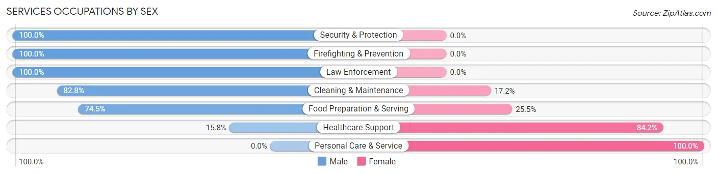 Services Occupations by Sex in Zip Code 13339