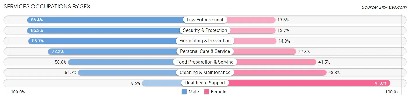 Services Occupations by Sex in Zip Code 13340