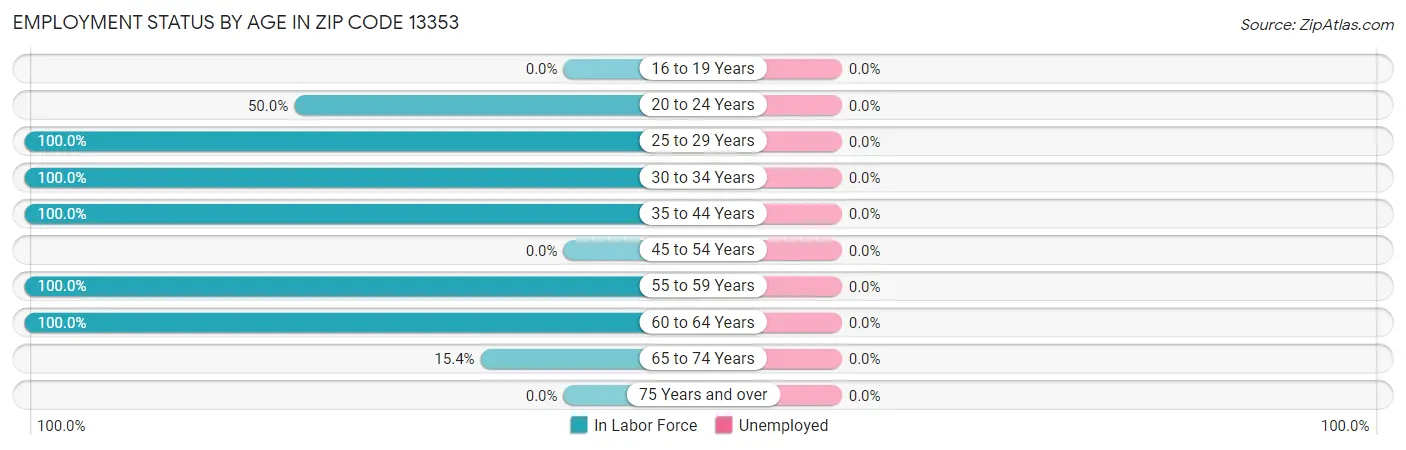 Employment Status by Age in Zip Code 13353