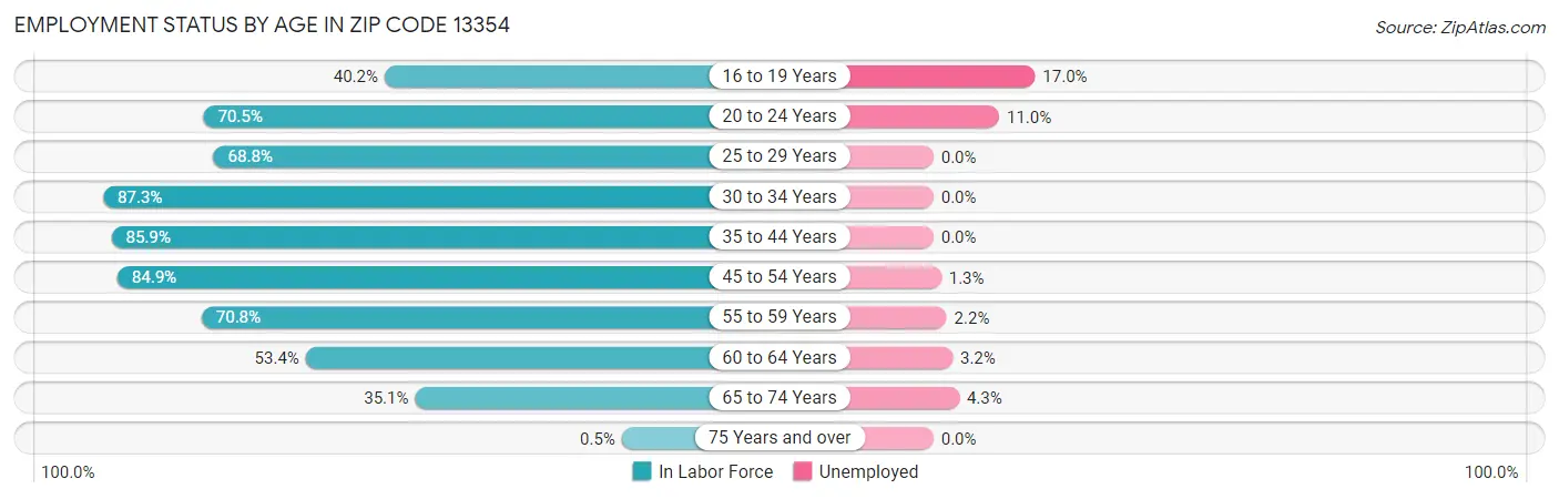 Employment Status by Age in Zip Code 13354