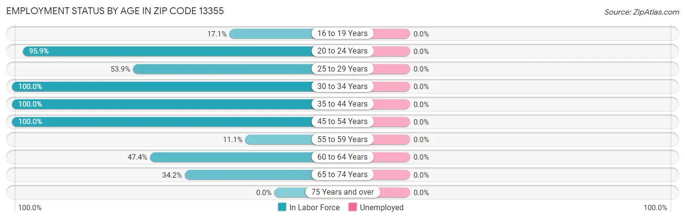 Employment Status by Age in Zip Code 13355