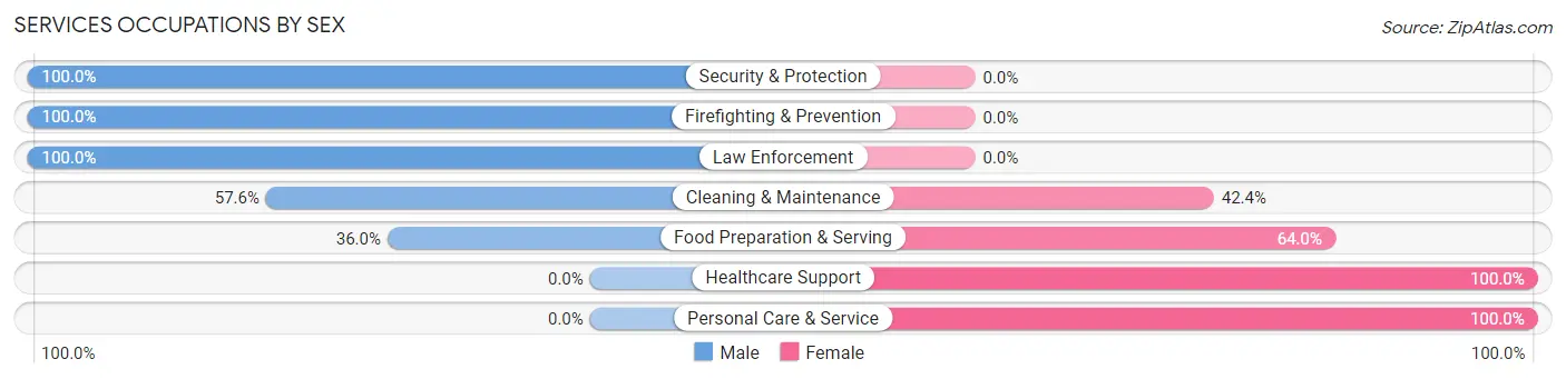 Services Occupations by Sex in Zip Code 13368