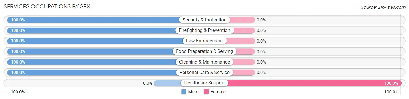 Services Occupations by Sex in Zip Code 13403