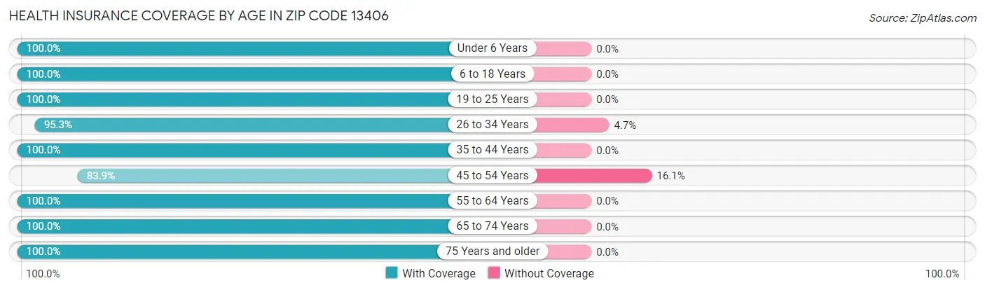 Health Insurance Coverage by Age in Zip Code 13406