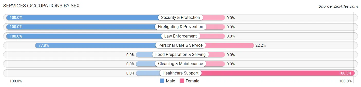 Services Occupations by Sex in Zip Code 13406