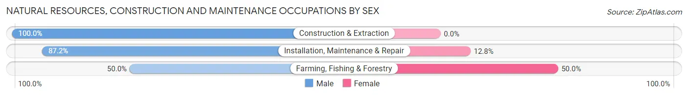 Natural Resources, Construction and Maintenance Occupations by Sex in Zip Code 13408