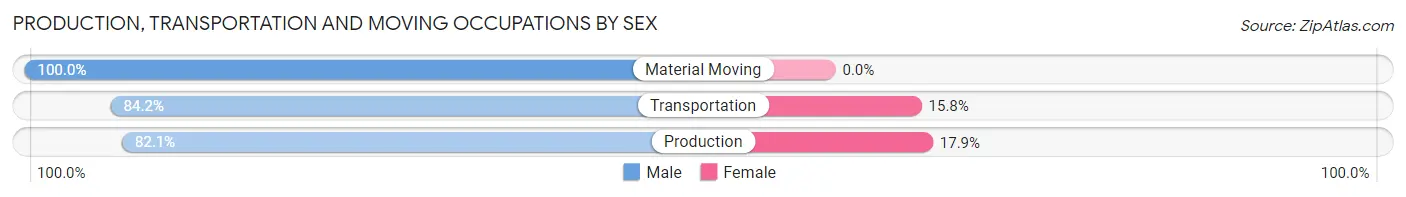 Production, Transportation and Moving Occupations by Sex in Zip Code 13408