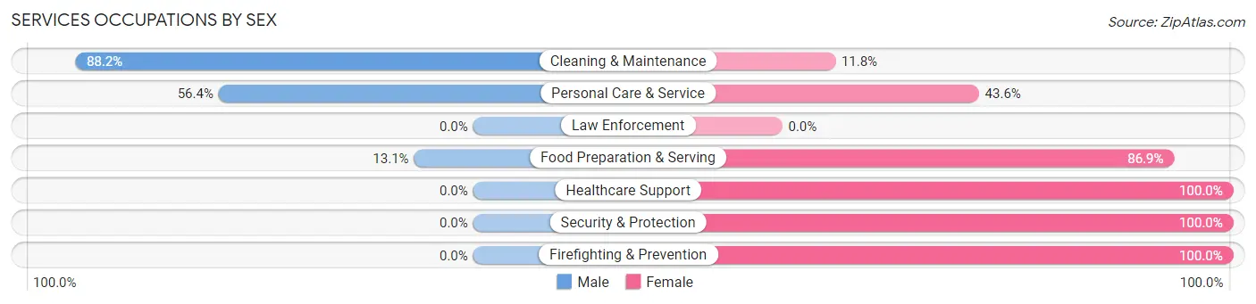 Services Occupations by Sex in Zip Code 13408