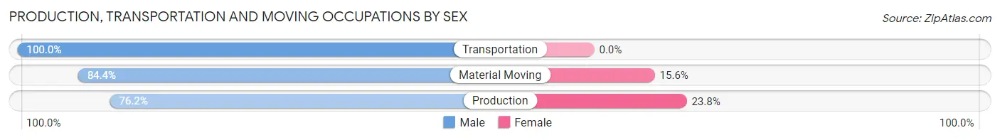 Production, Transportation and Moving Occupations by Sex in Zip Code 13413