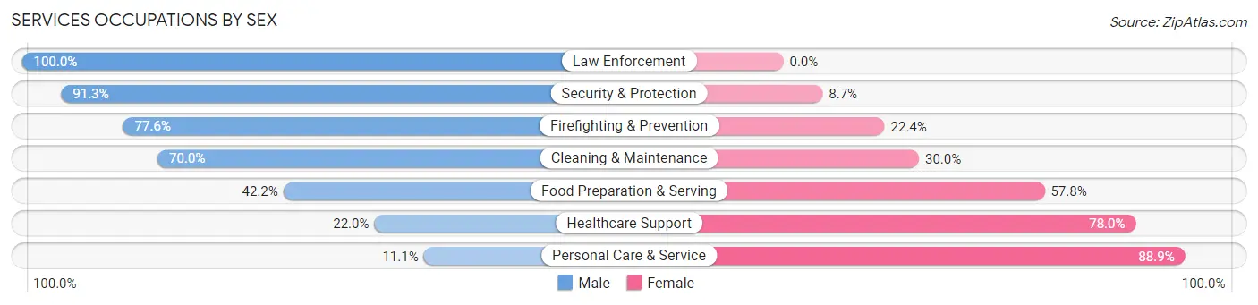 Services Occupations by Sex in Zip Code 13413