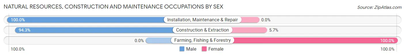 Natural Resources, Construction and Maintenance Occupations by Sex in Zip Code 13416