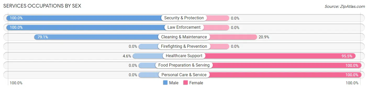 Services Occupations by Sex in Zip Code 13416