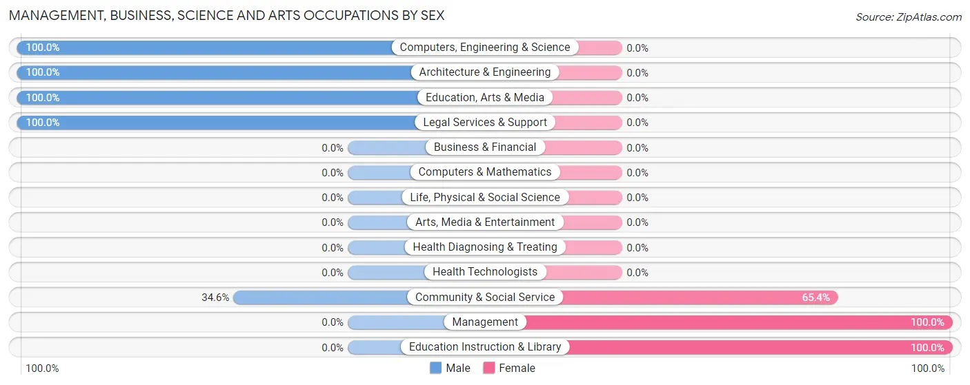 Management, Business, Science and Arts Occupations by Sex in Zip Code 13420