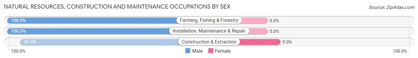 Natural Resources, Construction and Maintenance Occupations by Sex in Zip Code 13421