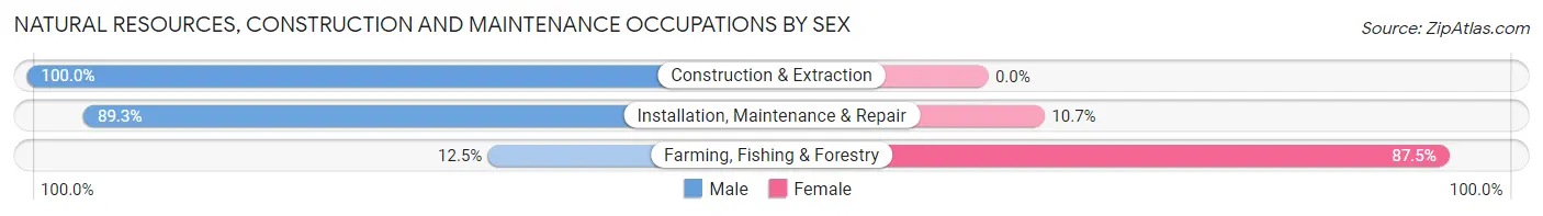 Natural Resources, Construction and Maintenance Occupations by Sex in Zip Code 13428